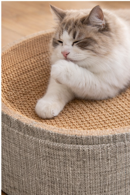 Griffoir pour chat design Confot